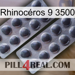 Rhinocéros 9 3500 31